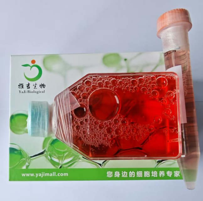 �����ٌ�(d��o)�ܰ���(x��)��MDA-MB-134-VI